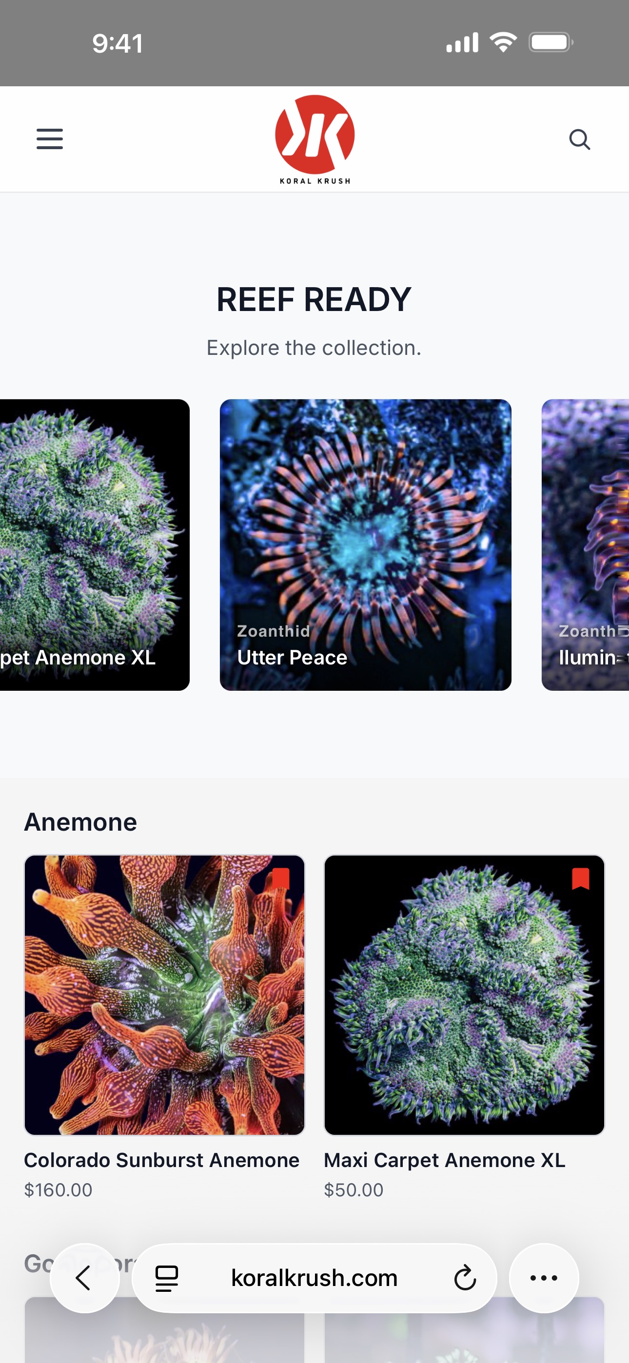 Koral Krush mobile preview